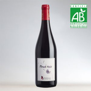 Pinot noir – Rouge IGP du Val de Loire